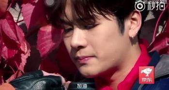 吃瓜娱乐圈王嘉尔是谁啊,娱乐圈的瓜中明星